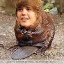 There really is a Justin Beaver!! ahaha - justinbeaver