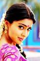 Saran Photo Gallery,Shriya Saran Stills,Shriya Saran Videos,Shriya Saran