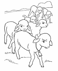 Image result for sheep coloring page