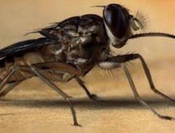 images?qtbnANd9GcQqxE W9cxMX7KxF3lOKKYvF yOQc D86WjrsUYJt76gK3xWcUY