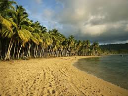 external image images?q=tbn:ANd9GcQqyyGevN3i6nhHmFJLe5D3W-N2rg9nWZG-NcYBmDgbFiLlNj3x3Q