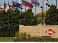 Fortune 500 2009: Top 1000 American Companies - Dow Chemical - DOW ...