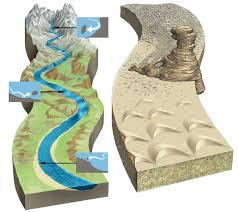 Physical Charcteristics