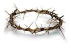 Crown of thorns | The King's English