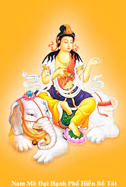 Cung tống kim quan Ni trưởng Hải Triều Âm nhập bảo tháp Images?q=tbn:ANd9GcQrZzV4LYT1XvW4d6tDrJGwWBz0xQx7kD-bmMv9euFy2pMsmu_4