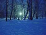Dark Blue Wallpapers and Pictures | 51 Items | Page 1 of 3