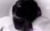Datingaboutsex.com - Sex buddy Georgia Deepstep 31082