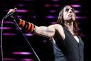 More Red Hot Chili Peppers