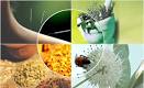 Herbal Remedies | Types of Cancers