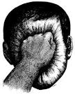 Roland Topor