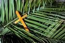 The Paradox of PALM SUNDAY | TGC
