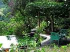 Naples Botanical Garden Bali Tour