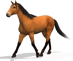 Obrazek