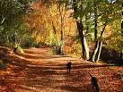 SJ5671 : Autumn Colour - via Daymix