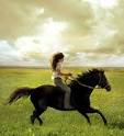 Movie Review: Flicka