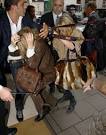 http://www4.pictures.fp.zimbio.com/Olsen%2BTwins%2BArriving%2BTheir%2BLondon%2BHotel%2BBagraPXGVTjl.jpg