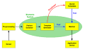 Biometrics - Wikipedia, the free encyclopedia