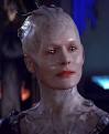 the police are the Borg