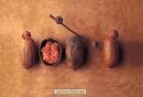 Anne Geddes