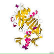 Chymosin - Wikipedia, the free encyclopedia