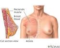breast pronunciation