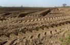 SK6892 : Sandy soil - via Daymix