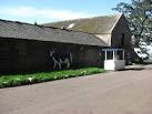 The farm makes icecream including a Newcastle Brown Ale flavour. - via Daymix