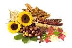 autumn still life (autumn - via Daymix