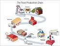 CDC - Foodborne Outbreak Investigations - The Food Production Chain