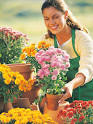 Chicago Area Flower Shops and Florists
