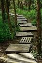 Beautiful Natural Stone Paths | Home Design, Garden & Architecture ...