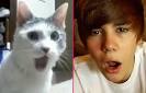 funny justin bieber