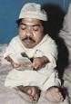 Gul Mohammed-