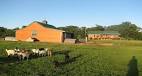 Timberside Farms