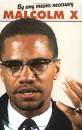 Happy Birthday Malcolm X
