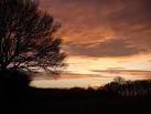 near to Ayot st Lawrence, Hertfordshire, Great Britain - via Daymix