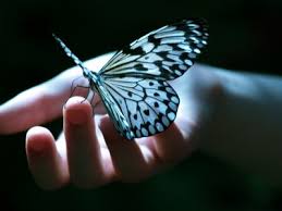 http://t1.gstatic.com/images?q=tbn:ANd9GcQvosGgjj7DxRfROb4VteBTNth8Kvi78cJkW8j8zaViaeRAKYsj