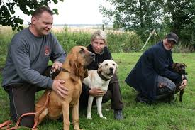 „Keine Angst, der will nur spielen“, lacht Claudia Bussmann von der Rettungshundestaffel Münsterland und nimmt ihren drei Jahre alten Staffordshire Terrier, ... - WebManTr
