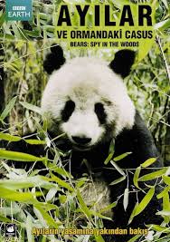Ayılar ve Ormandaki Casus & Bears Spy in the Woods Türkçe Dublaj izle
