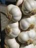 how to cook garlic