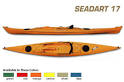2005_seadart_17jpg