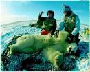 Wildlife Biologist - Biology Encyclopedia - body, part