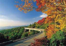 external image images?q=tbn:ANd9GcQwlDnpuR_3W0VqDVtEkQUc83QncF856dNY1A8HBYNGX1jsNL0s