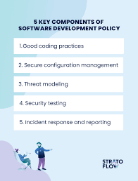 Image result for software development policy