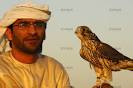 ... Falcon training in Dubai, United Arab Emirates, UAE - 10_7fba9a27cead5afd28f5f6ec13356119