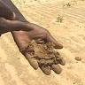 Niger - Wikipedia, the free encyclopedia