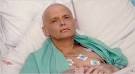 Poisoned by Polonium - The Litvinenko File - Movies - Review ...