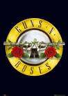 Guns N