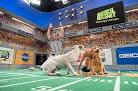 The Puppy Bowl is Terrible