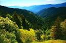 Springs | Water of Borjomi valley